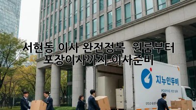 서현동 이사 완전정복 🏡 원룸부터 포장이사까지! #이사준비