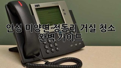 안성 미양면 정동리 거실 청소 완벽 가이드 ✨