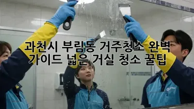 과천시 부림동 거주청소 완벽 가이드: 넓은 거실 청소 꿀팁!